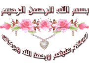 القرآن الكريم شمعه من شمعات الحياه 499501